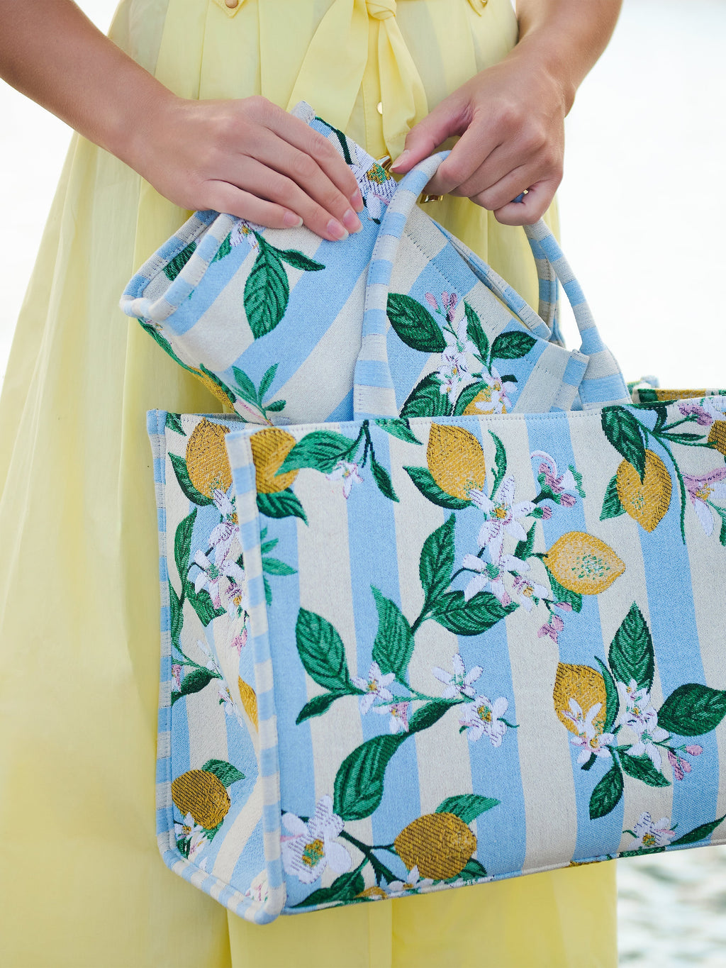 Lemon Stripe Jacquard Tote, Blue